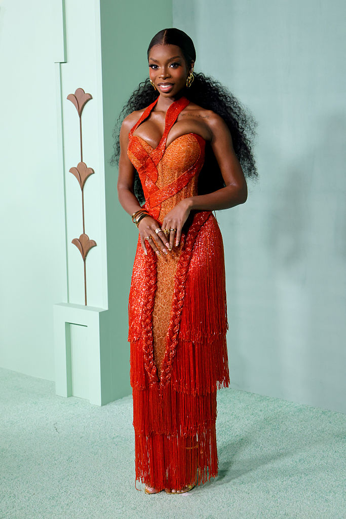 Annual Fifteen Percent Pledge Fundraising Gala Honoring Ms. Tina Knowles