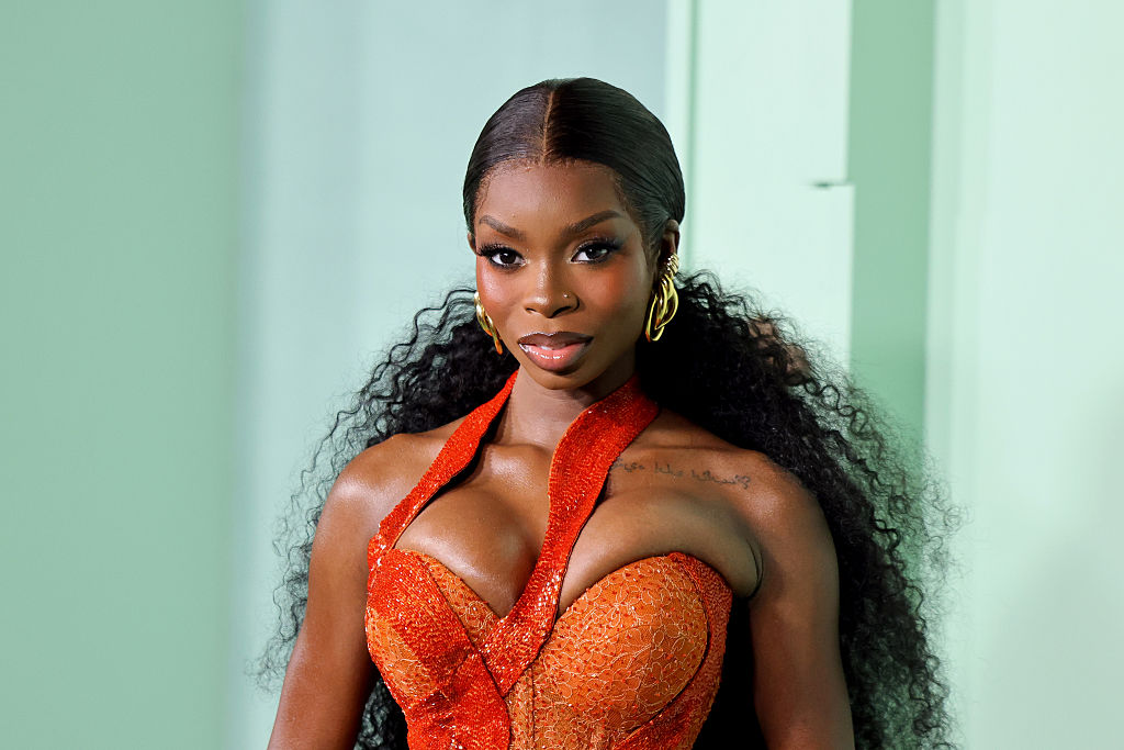 Annual Fifteen Percent Pledge Fundraising Gala Honoring Ms. Tina Knowles