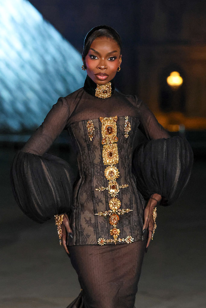 The Grand Dîner du Louvre - Arrivals Photocall